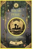 Micul print - Antoine de Saint-Exupery