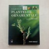 Steve Bradley - Taierea plantelor ornamentale