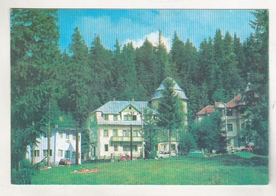 bnk cp Borsec - Vile - circulata foto