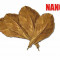 Migdale de mare-frunze uscate NANO, 12 bucăți