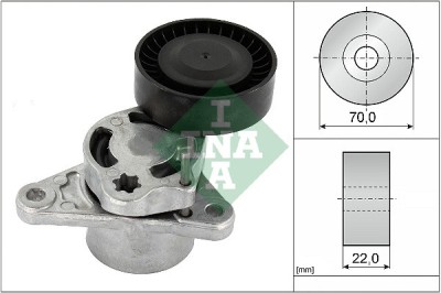 INA 534 0709 10 Intinzator curea, curea distributie foto