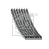 FEBI BILSTEIN 38434 Curea transmisie cu caneluri