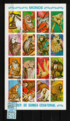 Guineea Ec., 1975 | Maimuţe şi Primate - Animale | Blloc / Minisheet NDT | aph foto