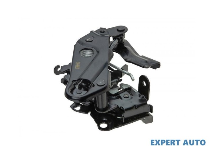 broasca capota BMW X6 (2008->) [E71, E72] #1