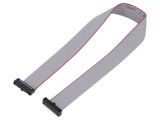 Cablu panglică SAMTEC IDC 10 pini 254mm FFSD-10-D-10.00-01-N-R