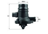 MAHLE TM 36 103 termostat,lichid racire