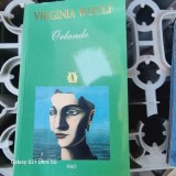 Virginia Woolf - Orlando