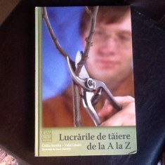 Lucrarile de taiere de la A la Z - Czaka Sarolta, Vallo Laszlo