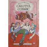 CALUTUL COSMIC-MIHAELA MONORANU-249394
