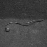 Senzor de poziție ax cu came SEAT LEON 5F1 2015 OEM: 06K905377 | 2012588