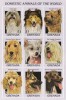 GRENADA 1997 - Caini / colita MNH, Nestampilat