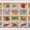 FUJEIRA FAUNA MARINA ( bloc dantelat ) MNH
