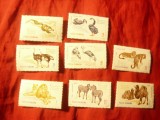 Serie Romania 1964 Fauna - Gradina Zoologica , 8 valori