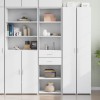 VidaXL Dulap &icirc;nalt, alb, 50x42,5x185 cm, lemn prelucrat 3281455