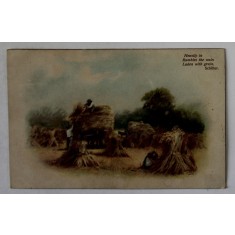 SCENA LA CULESUL FANULUI , IN ANGLIA , CROMOLITOGRAFIE , CARTE POSTALA , INCEPUTUL SEC. XX