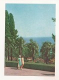 FA122 -Carte Postala- UCRAINA - Crimeea. Alupka, in the park, necirculata