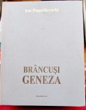 Brăncuși Geneza - Ion Pogorilovschi