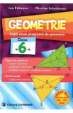Geometrie - Clasa 6 - Nicolae Ivaschescu, Ion Patrascu