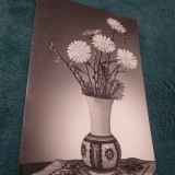 Cumpara ieftin CARTE POSTALA FELICITARE CIRCULATA