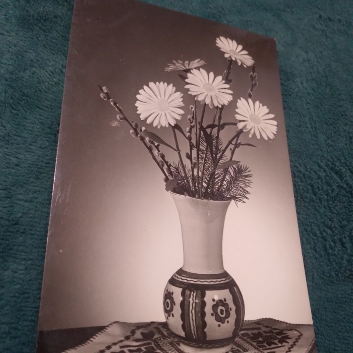 CARTE POSTALA FELICITARE CIRCULATA
