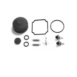 Set reparatie electrovalva deschidere usa autobuz model wabco