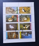 Staffa Scotland 1974 Serie Fauna Păsări de Apă și Marine Bloc / Mini-Coală 8v Ștampilat (Varianta II) - A90