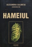 Carte Hameiul Alexandru Salontai Editura Risoprint 2002 330 Pagini Coperta Brosata Stiinte Exacte