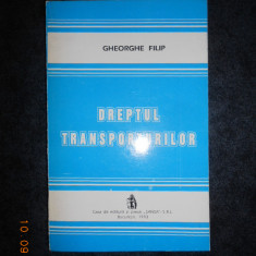 Gheorghe Filip - Dreptul transporturilor