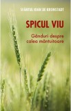 Spicul viu. Ganduri despre calea mantuitoare - Sfantul Ioan de Kronstadt