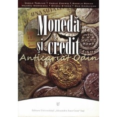 Moneda Si Credit - Vasile Turliuc, Vasile Cocris, Angela Roman
