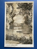 Carte Postala - Bucuresti Parcul Cismigiu, Necirculata, Fotografie