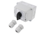 Comutator cu Came 16A 2 Posiții IP65 pentru Perete