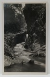 VALEA VINULUI , RADNA , BISTRITA - NASAUD , CASCADA , FOTOGRAFIE FORMAT CARTE POSTALA , PERIOADA INTERBELICA