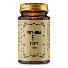 Vitamina b1 forte 100mg 60cps