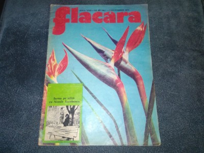 REVISTA FLACARA NR 49 1973 foto