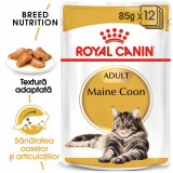 Cumpara ieftin Royal Canin Maine Coon Adult hrana umeda pisica (in sos), 12x85 g