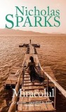 Miracolul/Nicholas Sparks, Rao