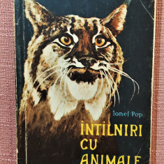 Intalniri cu animale. Editura Stiintifica, 1960 – Ionel Pop