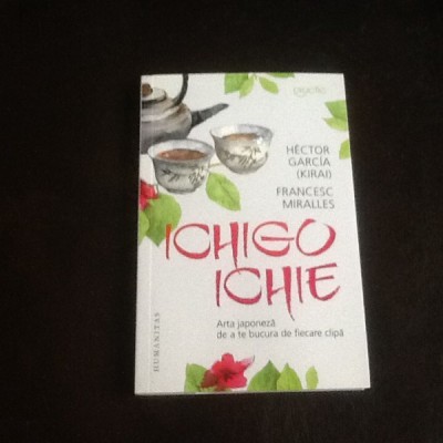 Ichigo Ichie - Hector Garcia, Francesc Miralles foto