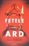 Fetele Care Ard - C.J. Tudor, Armada, 2022, Romana, 380 pagini, Roman, Beletristica, Paperback