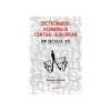 Dictionarul romanului central-european sec. XX, Adriana Babeti - Studii literare Polirom