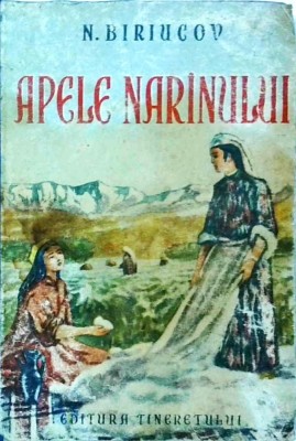 N. Biriucov - Apele Narinului foto