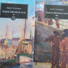 RADU TUDORAN - TOATE PANZELE SUS 2 VOLUME EDITIA JURNALUL