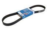 Curea transmisie cu caneluri FORD FIESTA VI (2008 - 2016) BOSCH 1 987 946 142