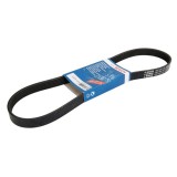 Curea transmisie cu caneluri FORD FIESTA VI (2008 - 2016) BOSCH 1 987 946 142