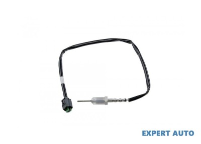 Senzor temperatura gaze dpf BMW X3 (2004-&amp;gt;) [E83] #1 foto