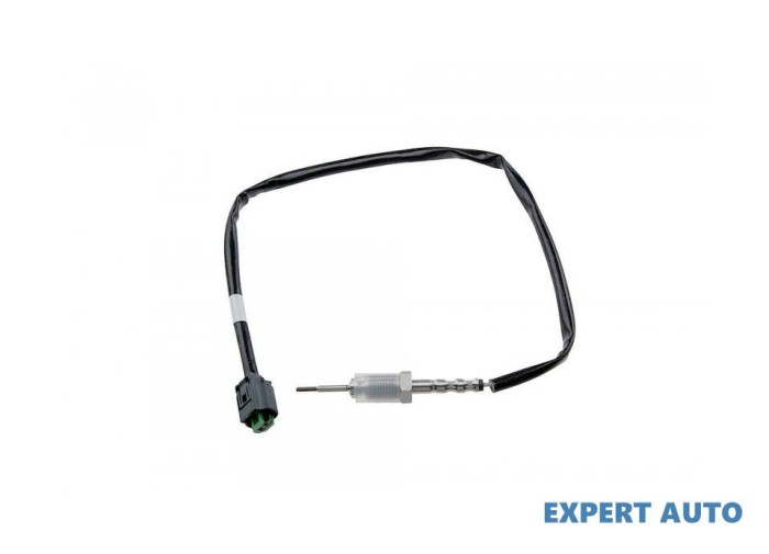 Senzor temperatura gaze dpf BMW X3 (2004-&gt;) [E83] #1