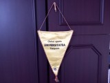 Fanion+insigna C S Universitatea Timisoara