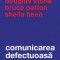 Comunicarea defectuoasa - Curtea Veche