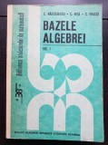 Bazele algebrei, vol. I - C. Năstăsescu, C. Niță, C. Vraciu (Biblioteca profesorului de matematică)